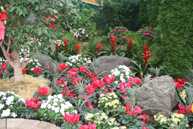 Flower Garden with Rocks — Green, Colorful