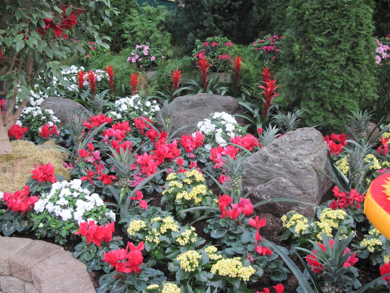Flower Garden with Rocks — Red, Colorful