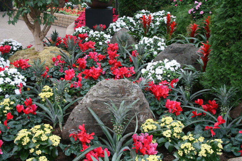 Flower Garden with Rocks — Red