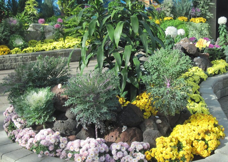 Flower Garden with Rocks