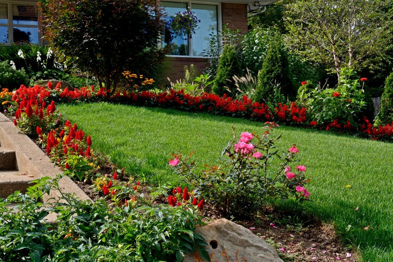 Flower Garden with Roses — Green, Serene