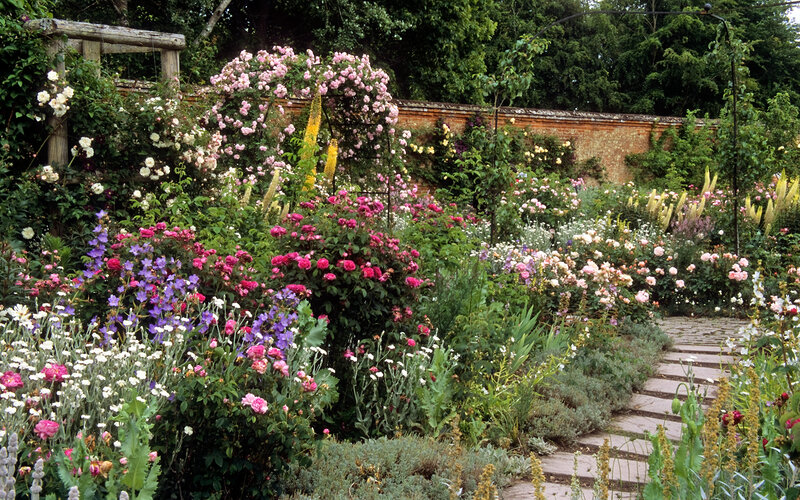 Flower Garden with Roses — Pink