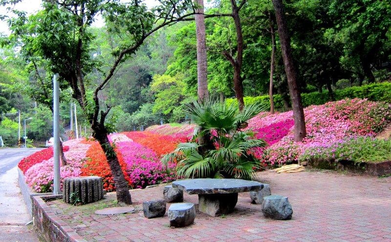 Flower Garden with Stone Table