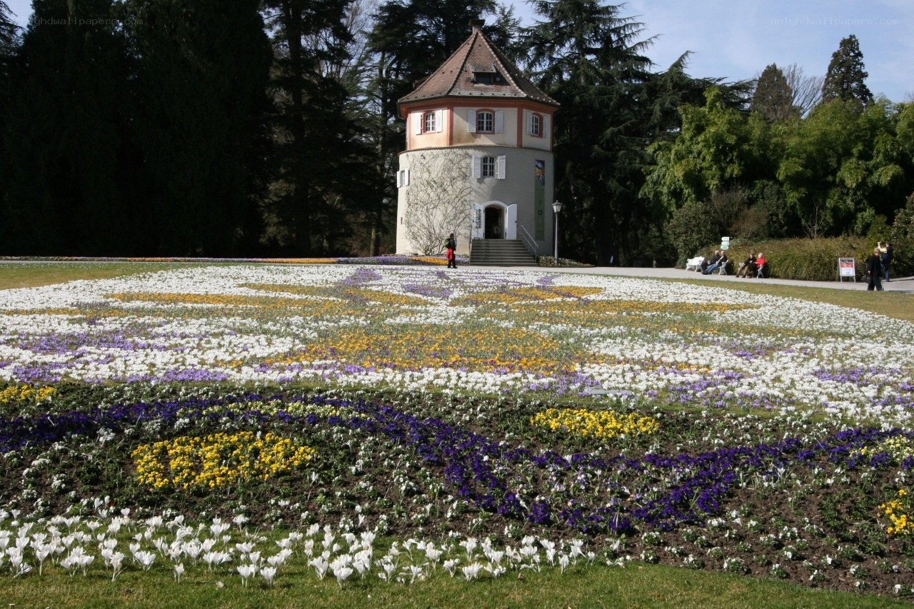 Flower garden with tower