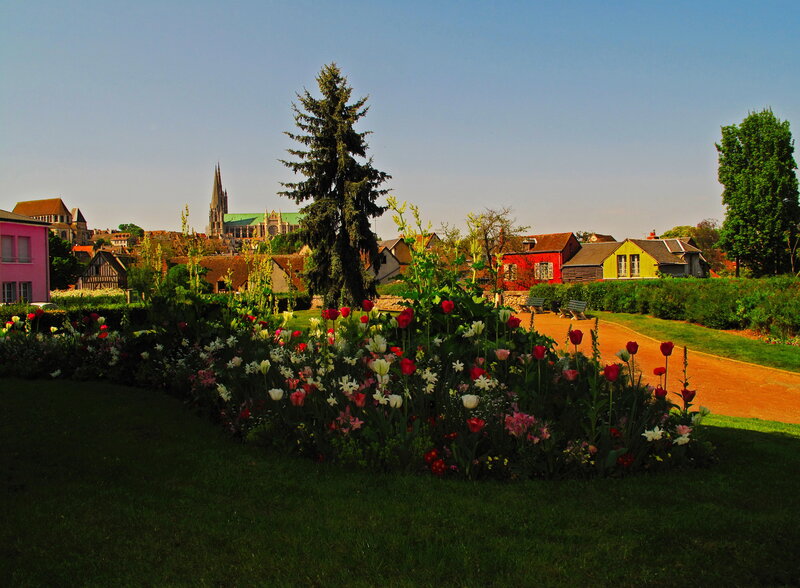 Flower Garden with Town