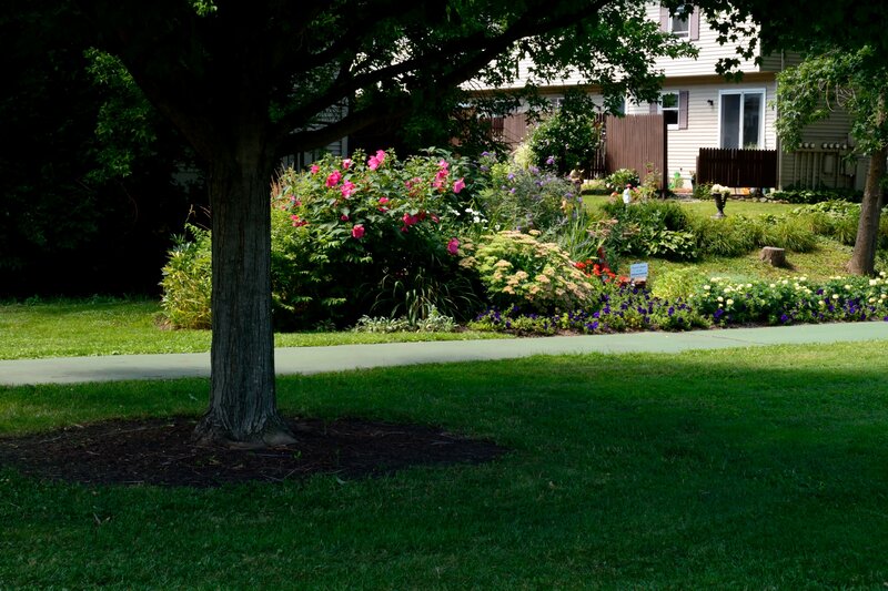Flower Garden with Tree — Green