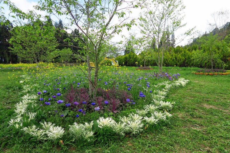 Flower Garden with Trees — Green, Serene, Spring