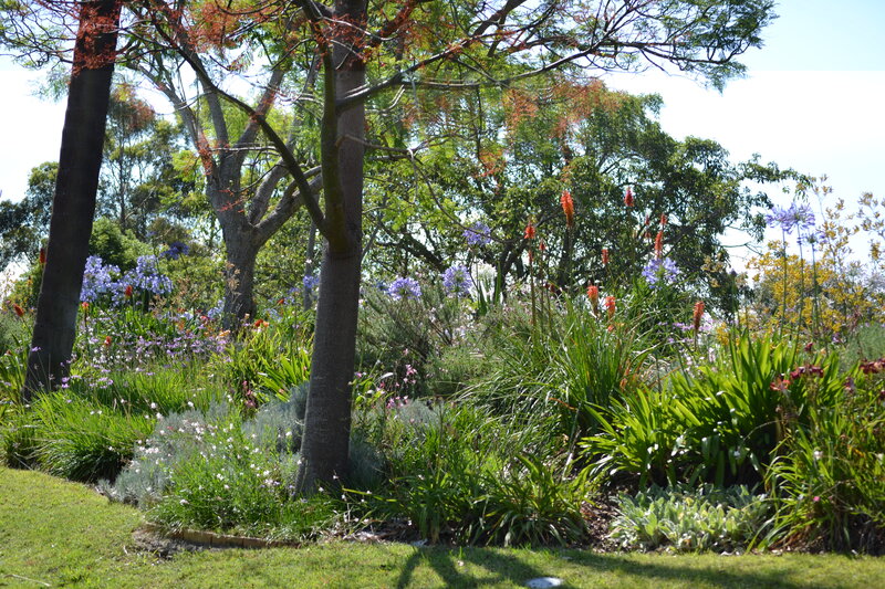 Flower Garden with Trees — Green, Serene
