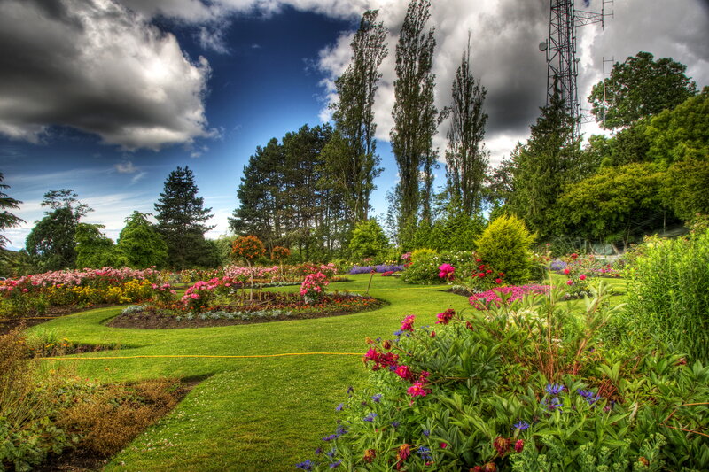 Flower Garden with Trees — Green