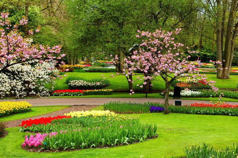 Flower Garden with Tulips — Green