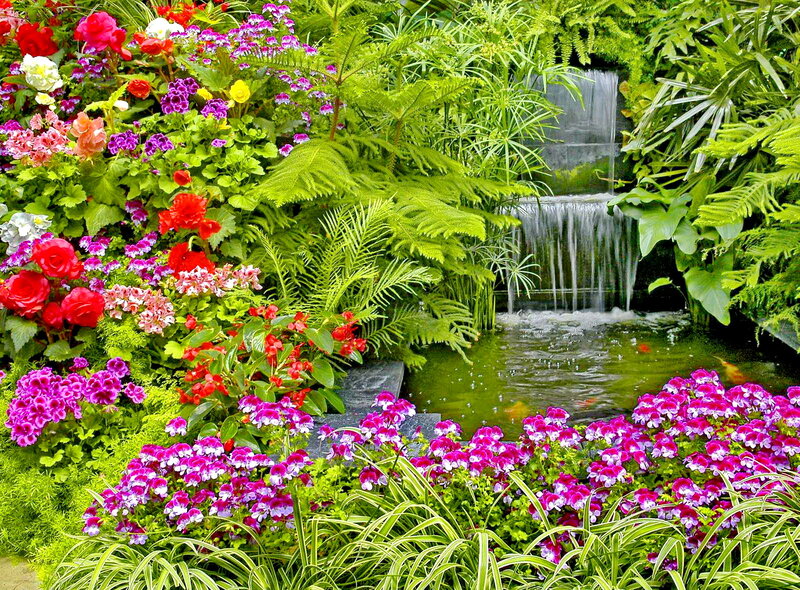 Flower Garden with Waterfall — Green, Serene, Afternoon, Photograph