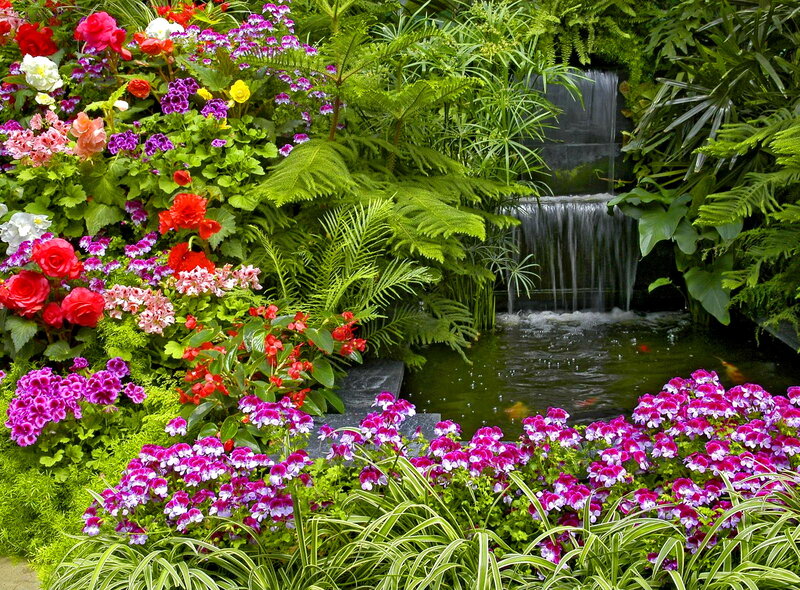 Flower Garden with Waterfall — Green, Serene, Afternoon
