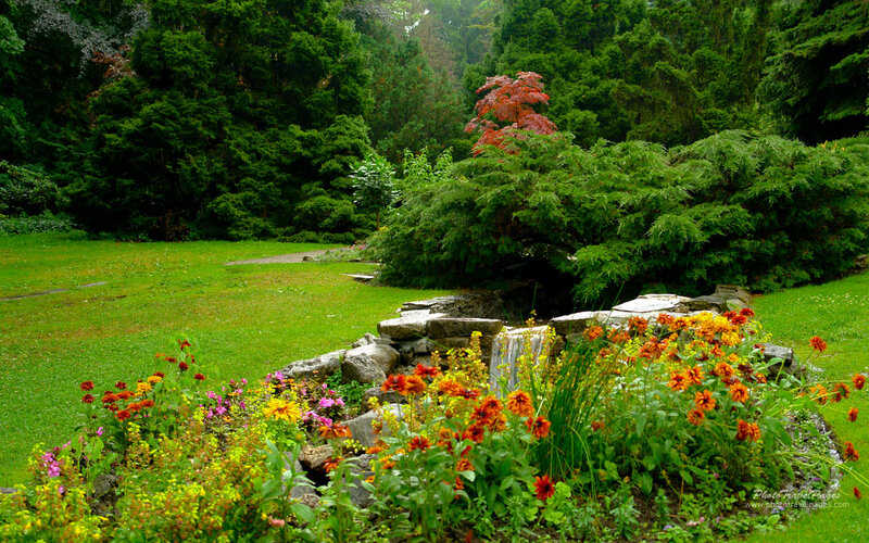 Flower Garden with Waterfall — Green, Serene, Summer