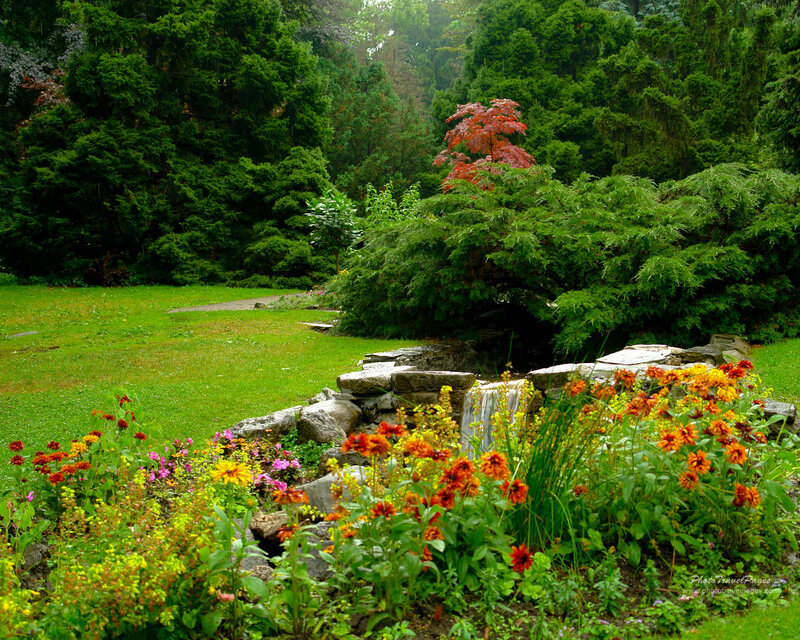 Flower Garden with Waterfall — Green