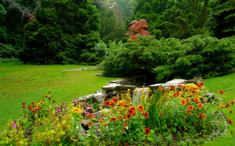 Flower Garden with Waterfall