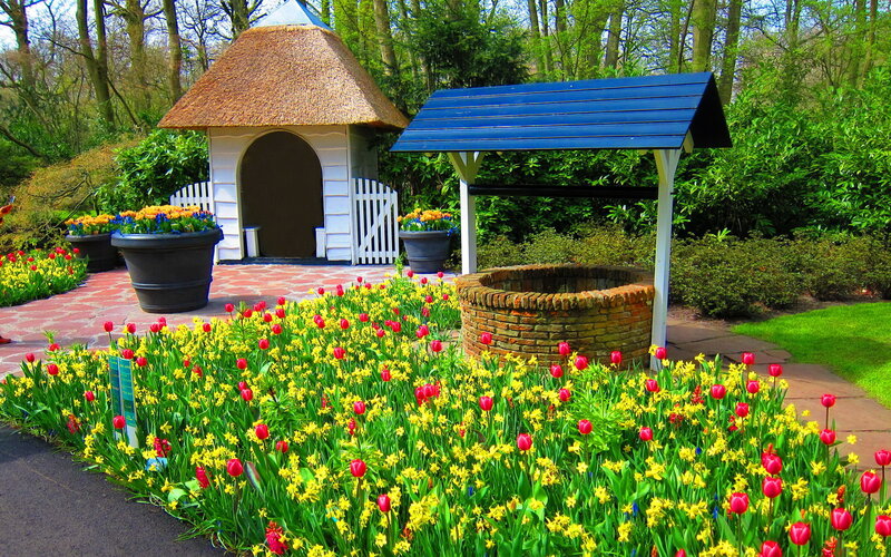 Flower Garden with Well