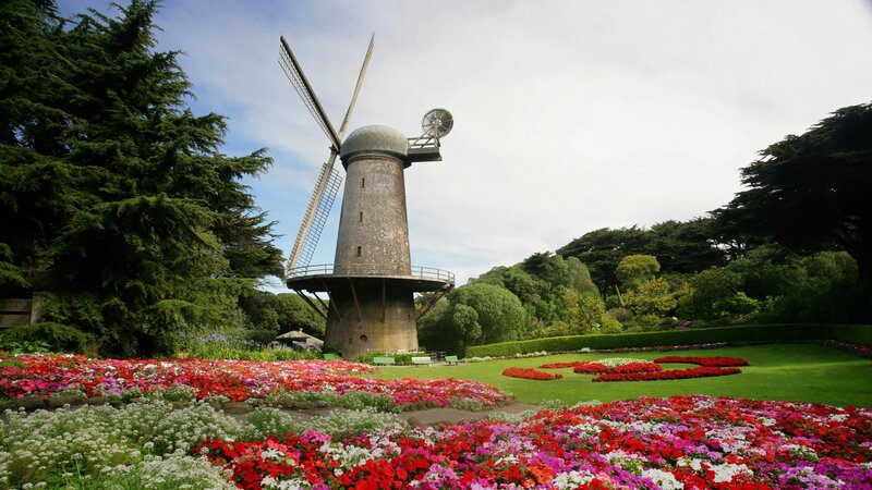Flower garden with windmill