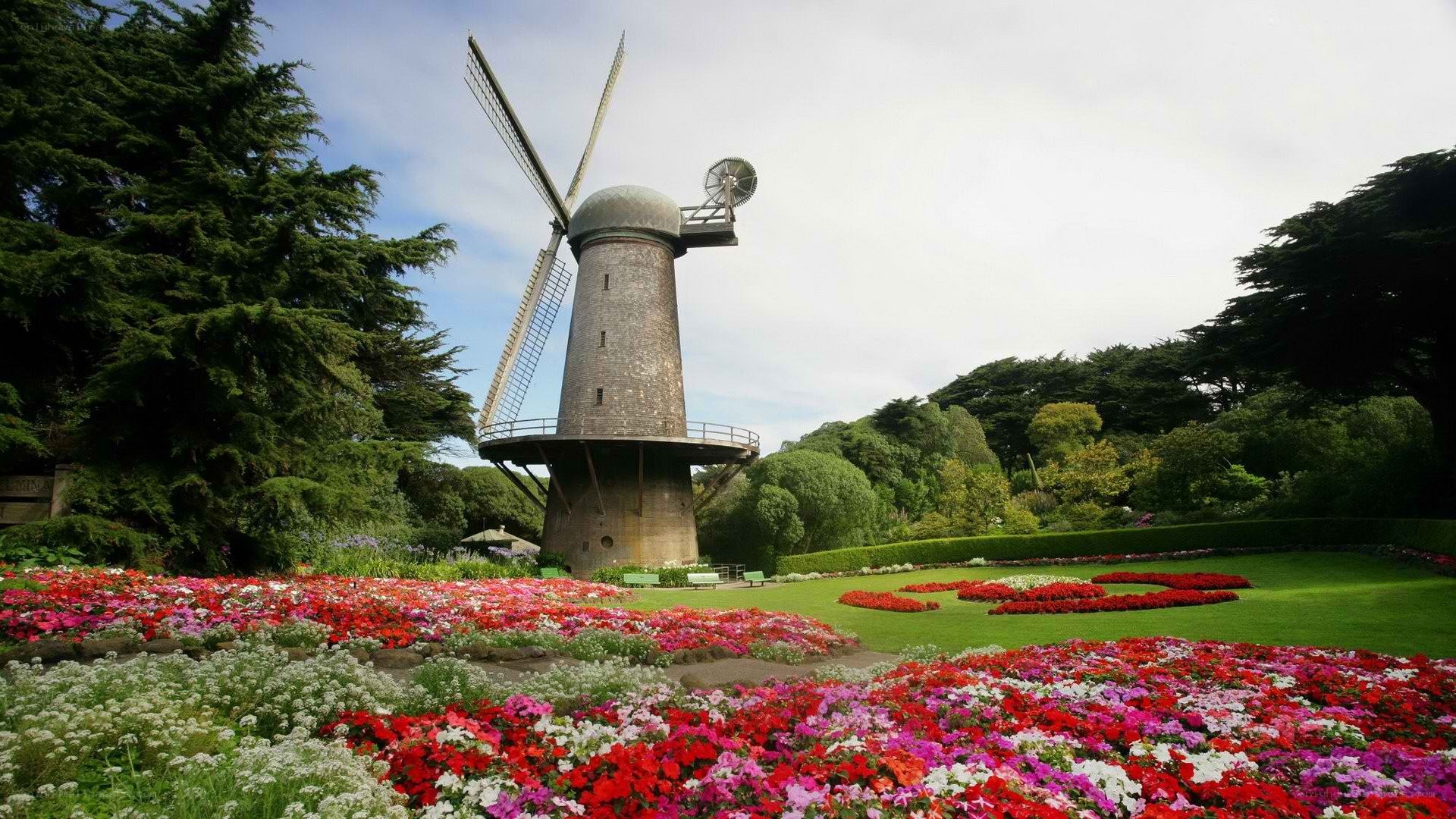 Flower garden with windmill