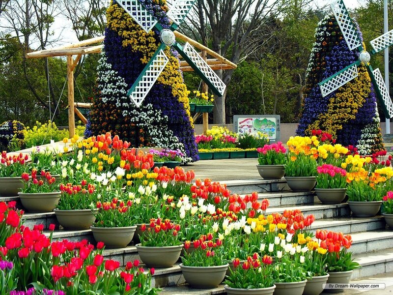 Flower garden with windmills