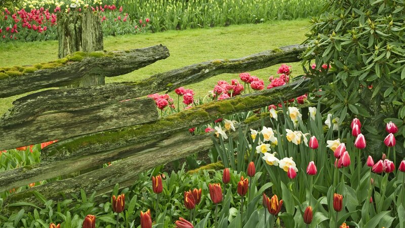 Flower garden with wooden fence