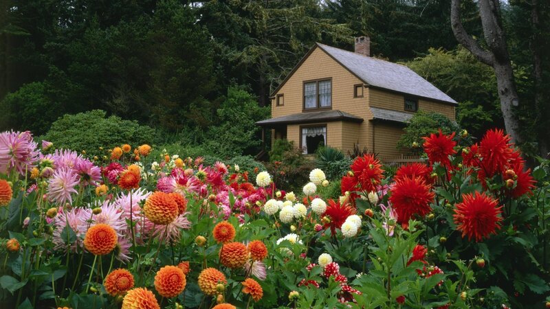 Flower garden with yellow house