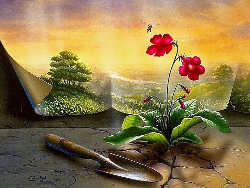 Flower Growing from Cracked Ground