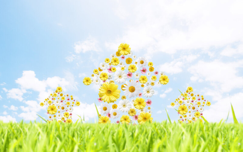 Flower Houses in Field