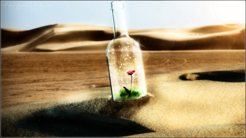 flower in a bottle in the desert