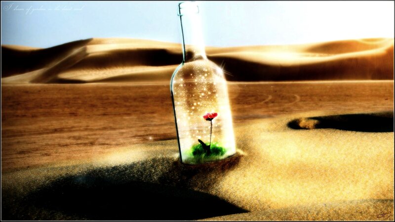 Flower in a Bottle
