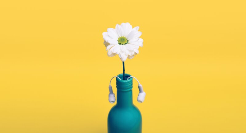 flower in a bottle with earbuds