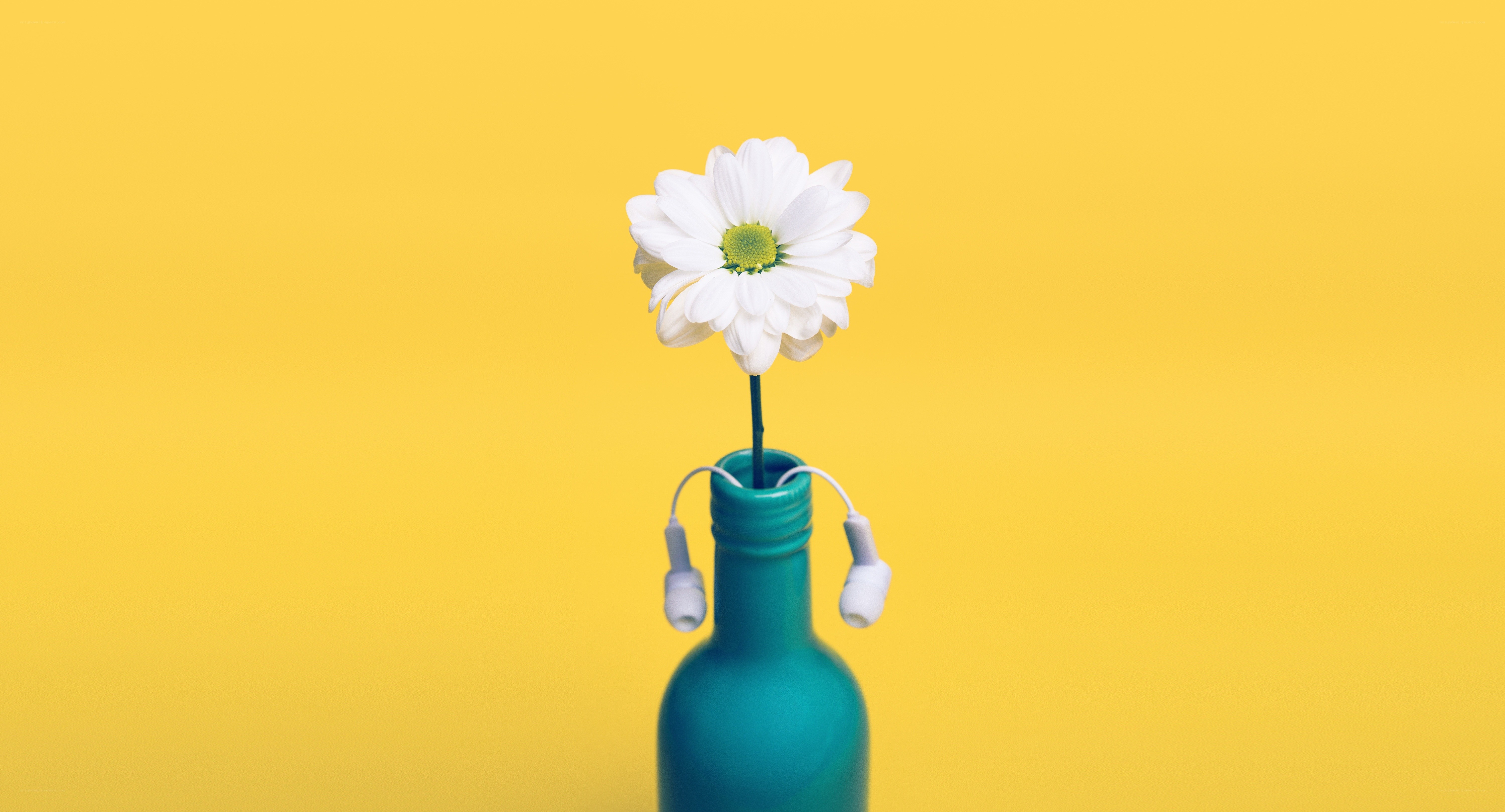 flower in a bottle with earbuds