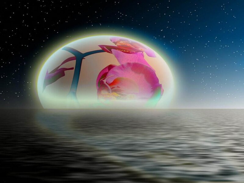 Flower in a Bubble