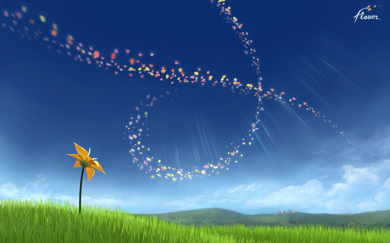 Flower in a field