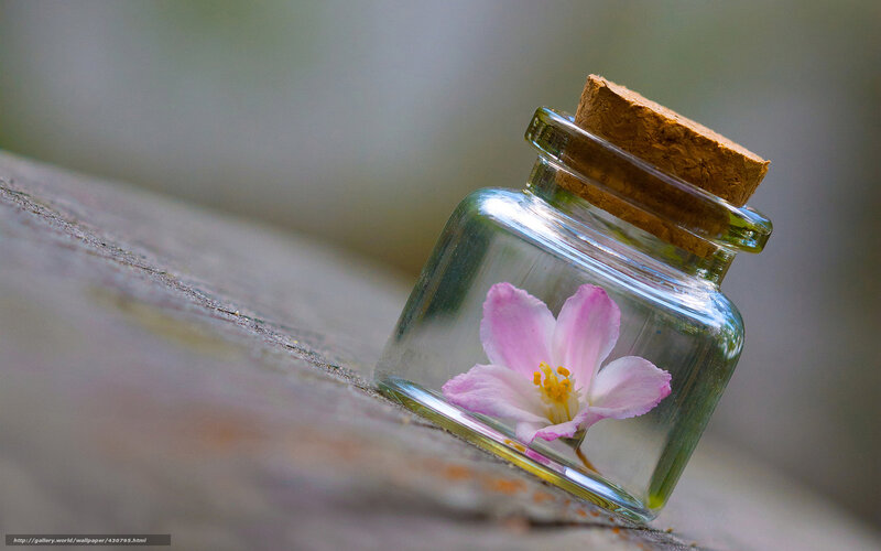 flower in a glass jar