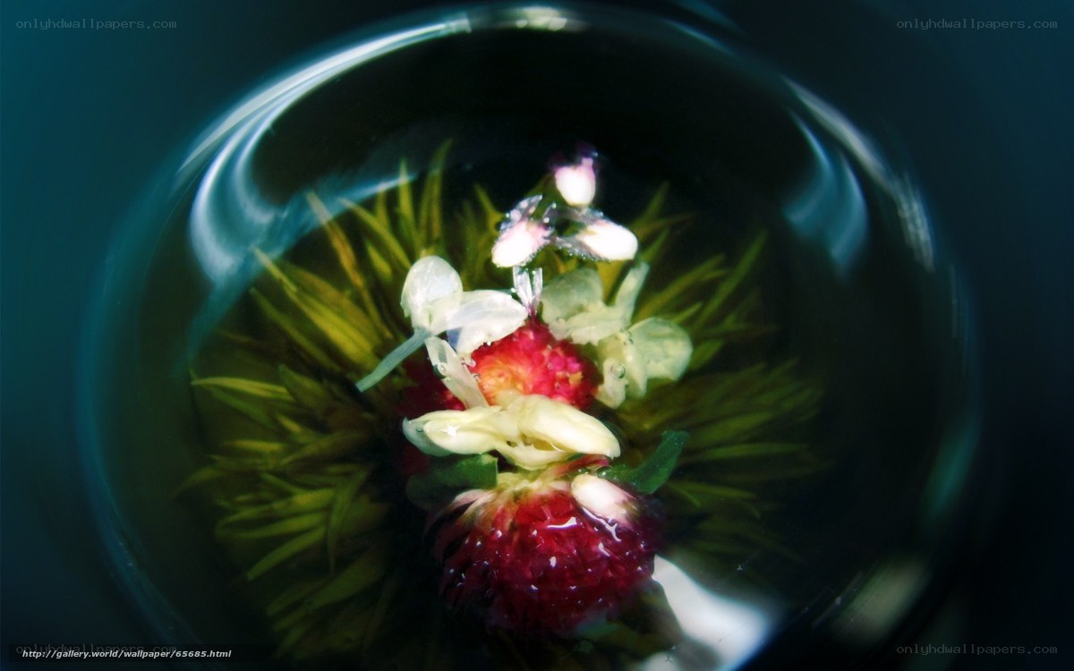 Flower in a glass of water