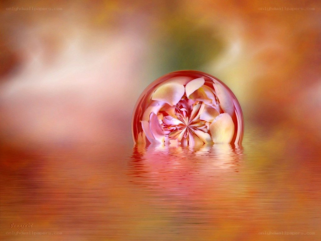 Flower in a glass sphere