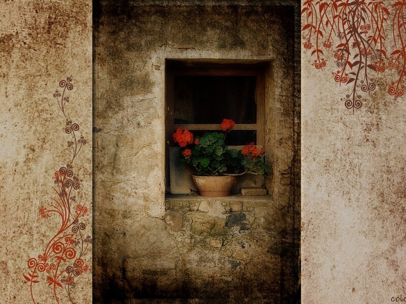 Flower in a stone window