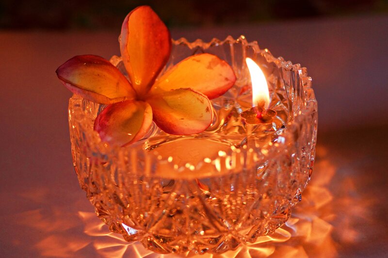 Flower in Candle Holder