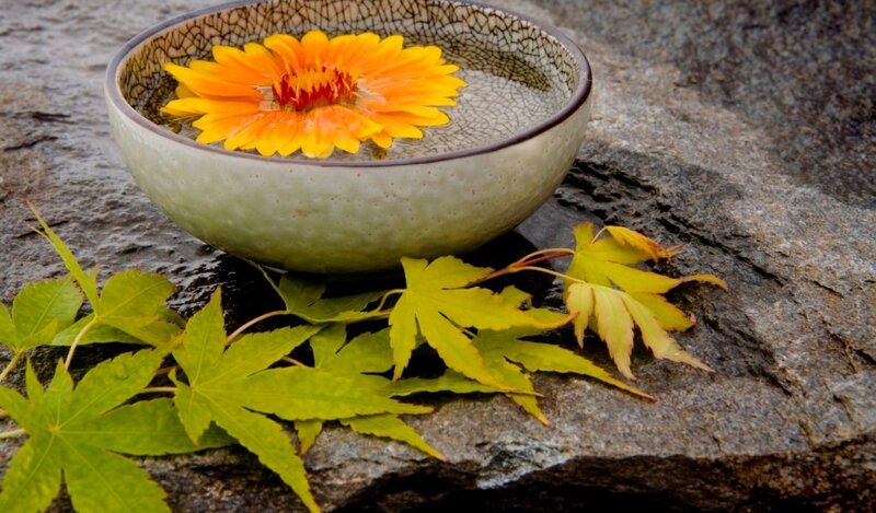 Flower in Ceramic Bowl