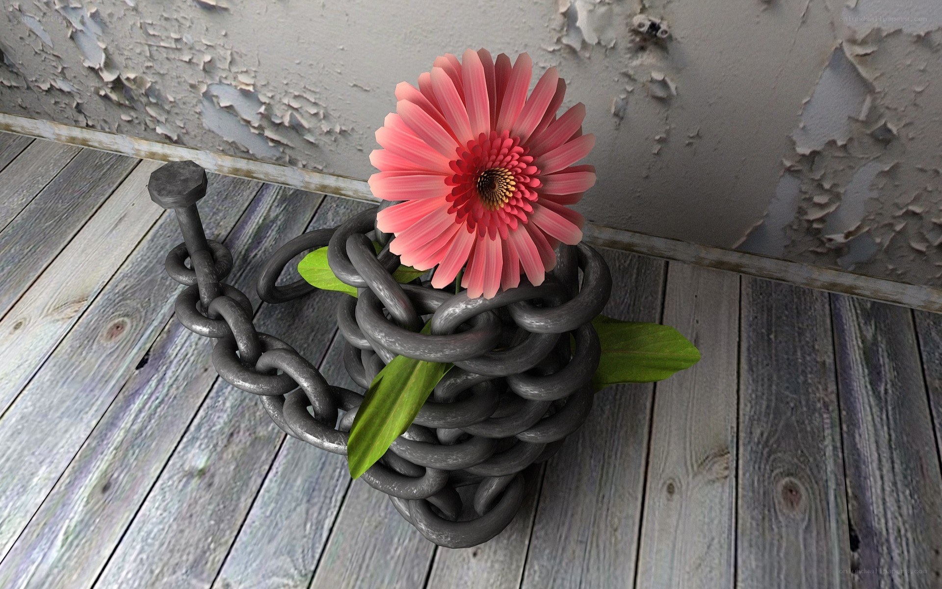 flower in chains on wood