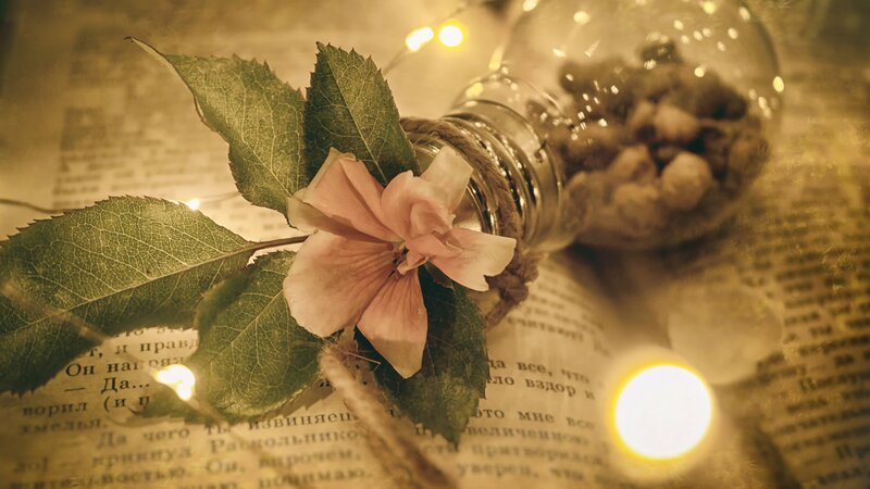 Flower in Glass Bulb