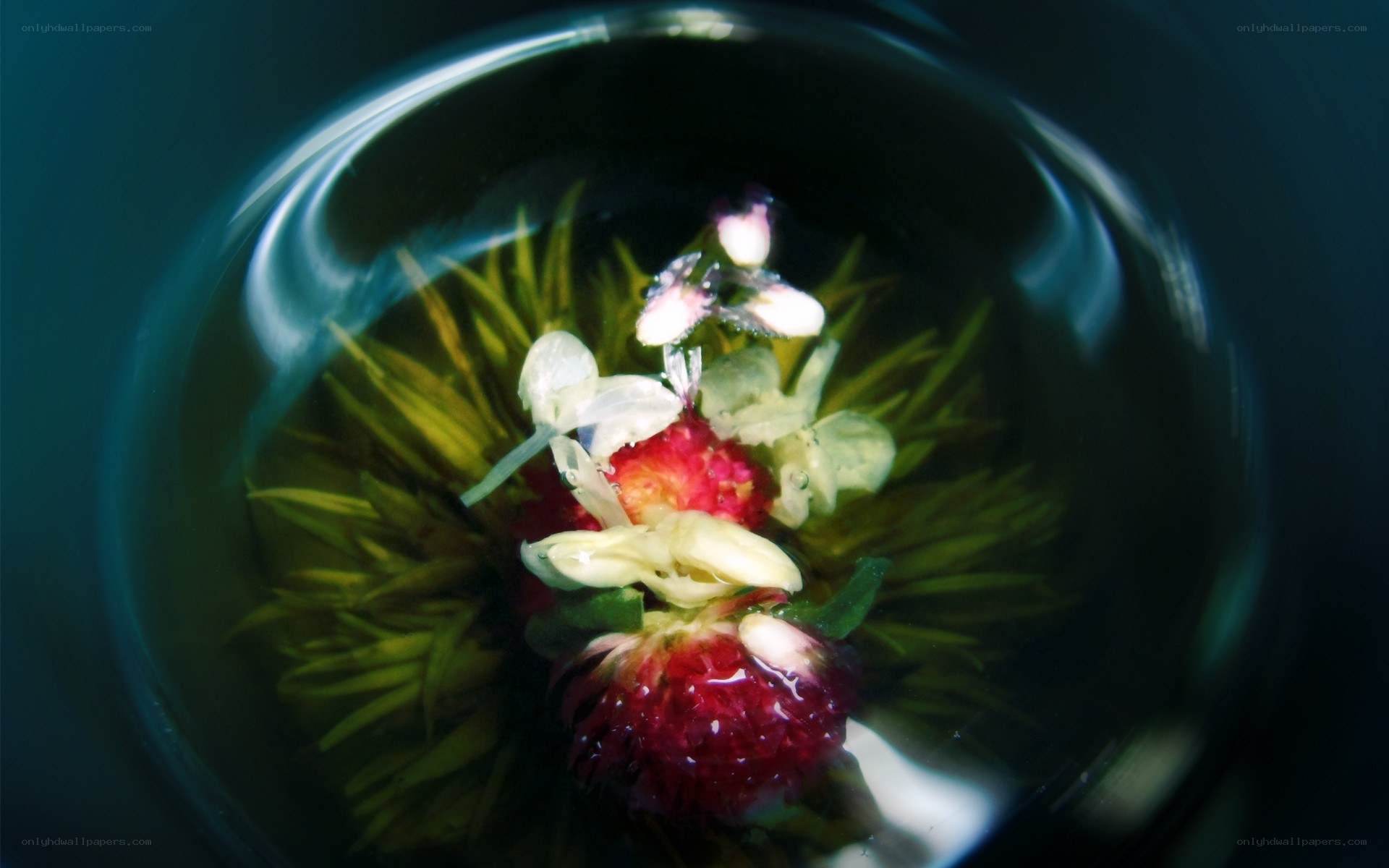 flower in glass container