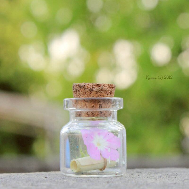 Flower in Glass Jar
