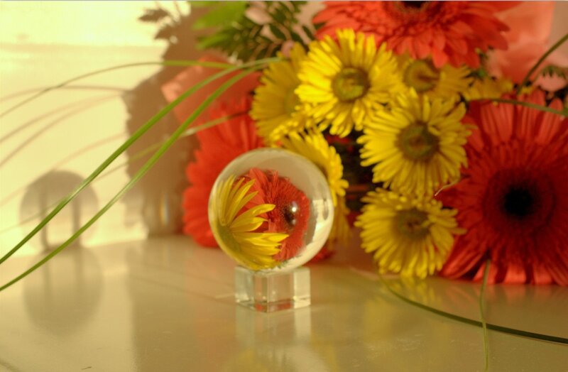 Flower in Glass Sphere