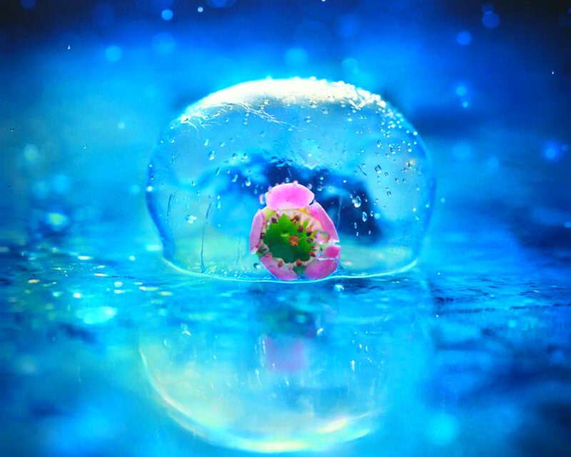 Flower in Ice Bubble