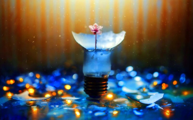 Flower in Light Bulb — Blue