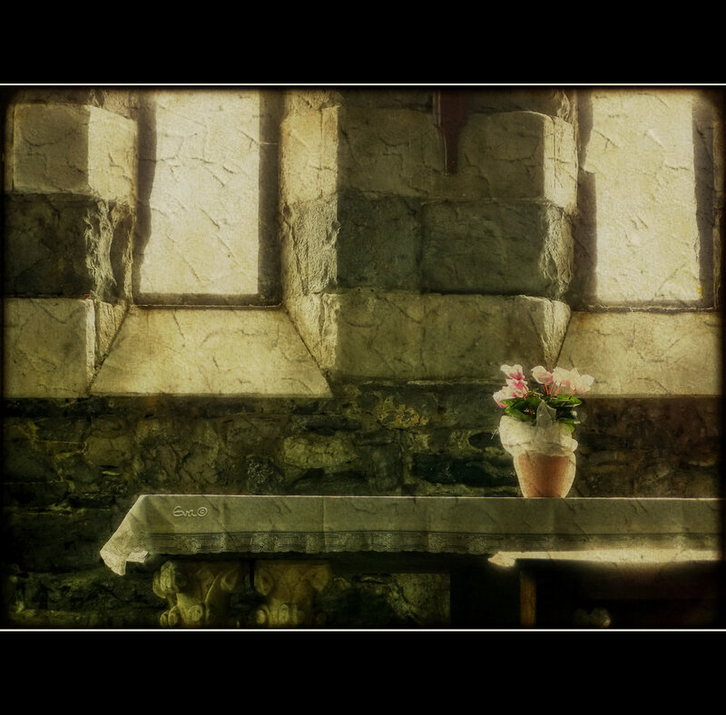 Flower in Pot on Table