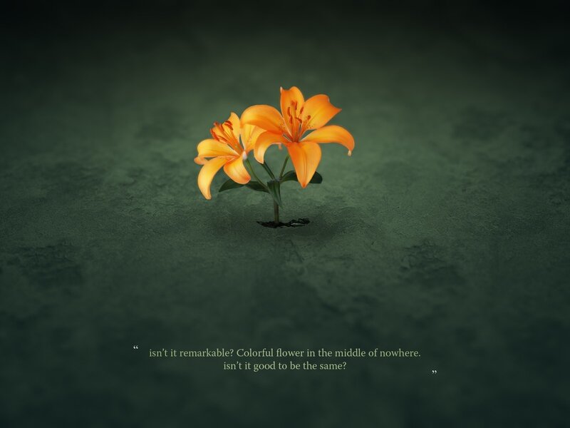 Flower in the middle of nowhere