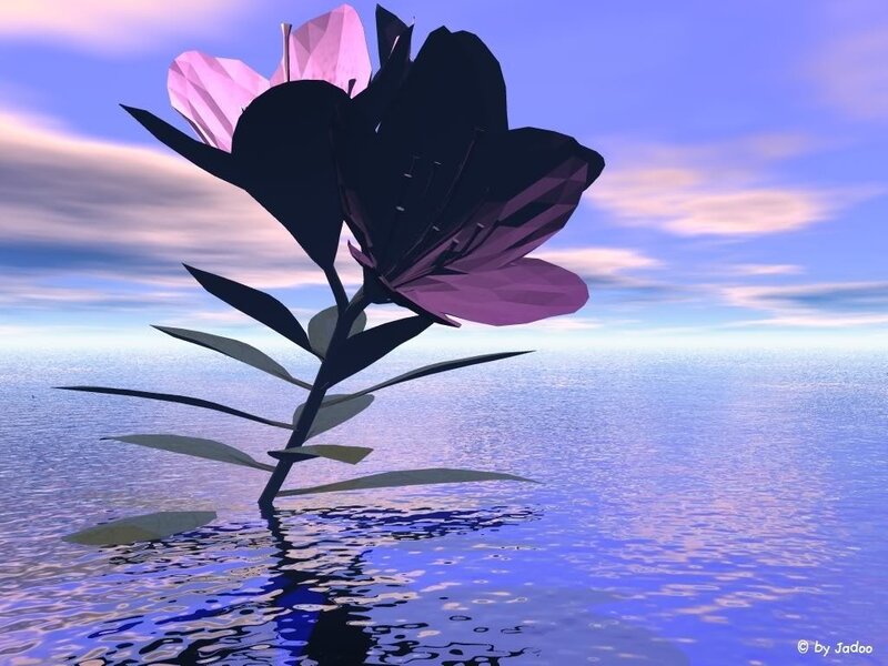 Flower in the water