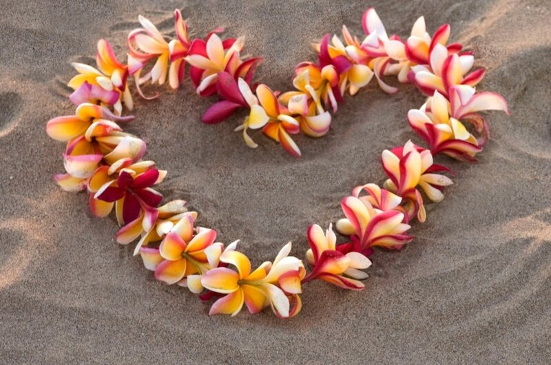Flower Lei on Sand — Yellow